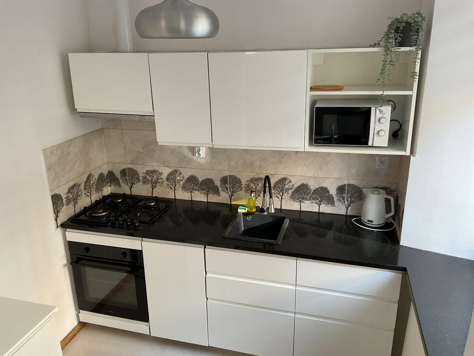 Ferienwohnung Omorika Na Zamkowej Krakau Exterior foto
